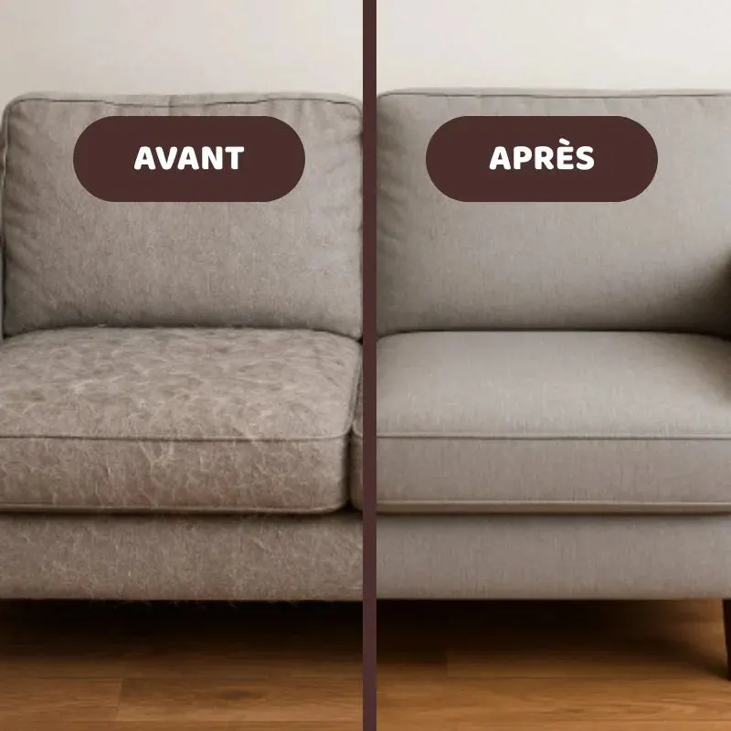 Avant et après sur un canapé en tissu gris : assise feutrée de poils clairs à gauche, tissu redevenu net après le passage du Gantitouf à droite