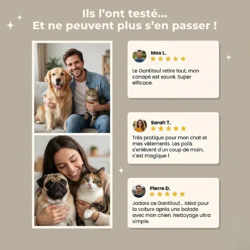 Chat et chien installés ensemble sur un canapé en tissu clair