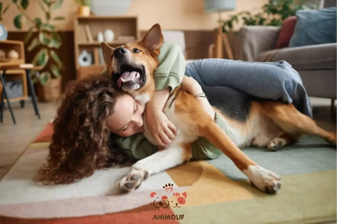 Moment de complicité entre une propriétaire et son chien sur un tapis sans poils